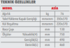 Rekor Asia Şömine Döküm Soba Odun Kömür Sobası - Thumbnail (11)